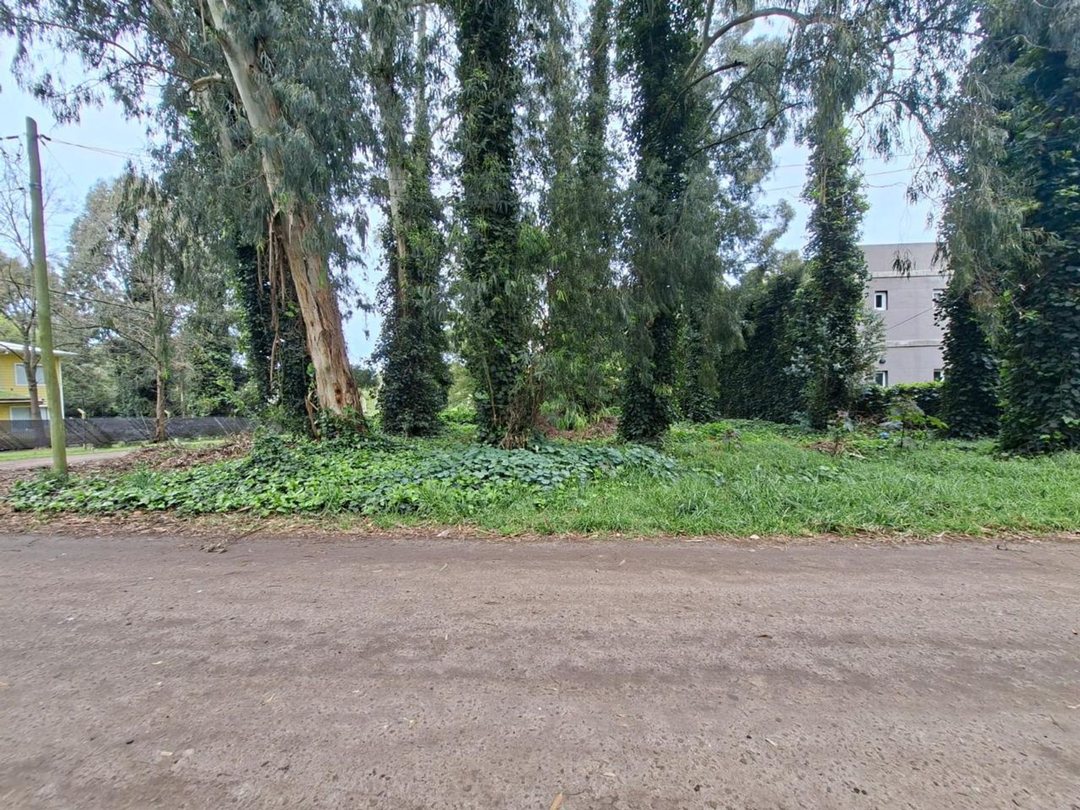 VENTA LOTE BOSQUE PERALTA RAMOS