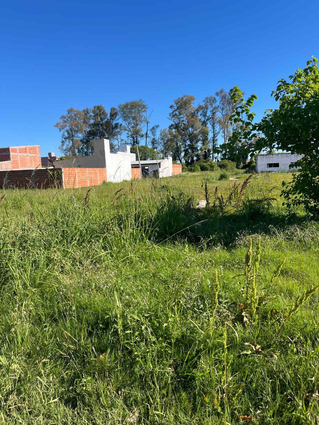 TERRENO  ZONA NORTE DE 250 M2 EN VENTA