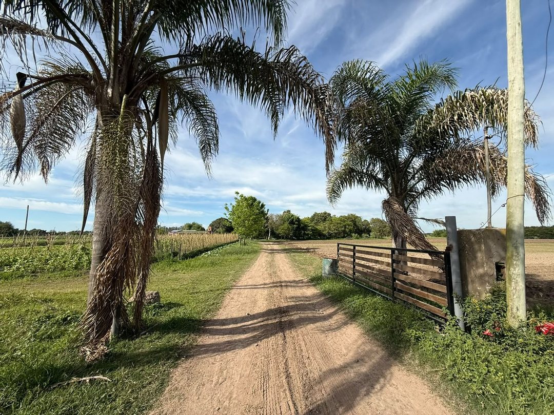 VENTA 7,5 HECTAREAS (RECREO SUR)