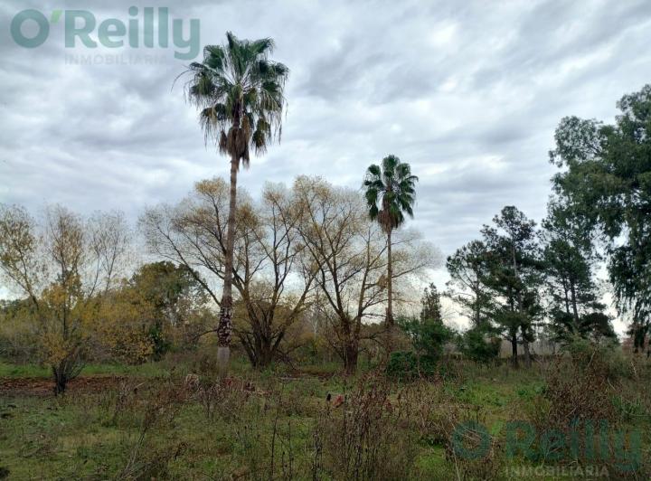 Terreno · 12381m²