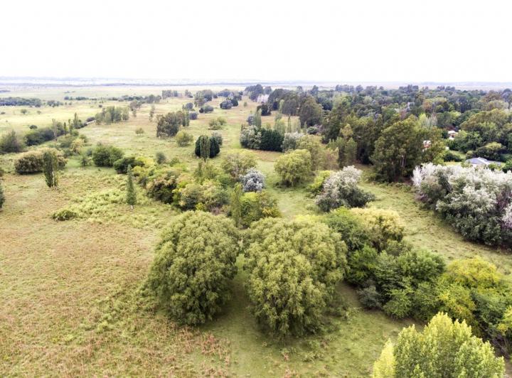 Terreno · 1020m²