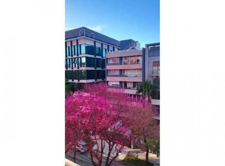Departamento · 65m² · 2 Ambientes · 1 Cochera
