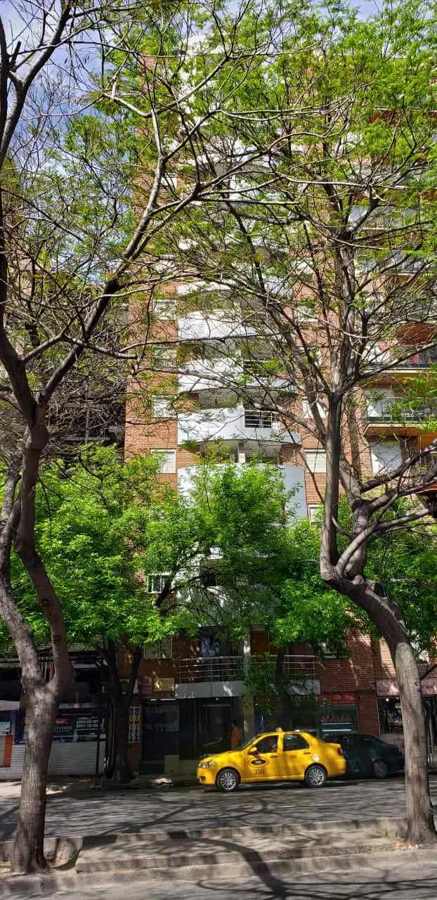 DUEÑA -NUEVA CORDOBA-UN DORM. EXTERNO C/ BALCON-