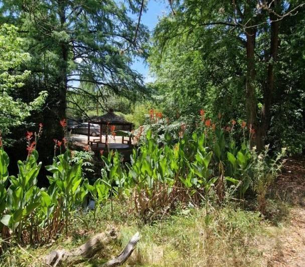 Terreno · 210m²