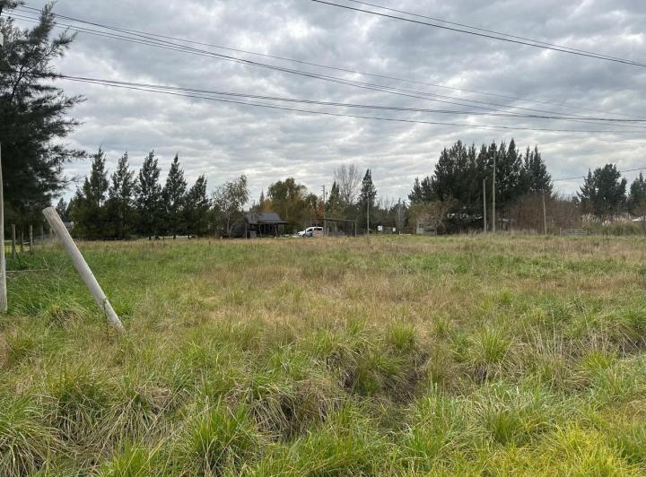 Terreno · 1000m²