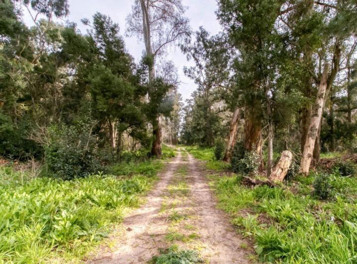 Terreno · 1050m²
