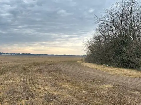 Campo en Venta en Capitán Sarmiento, Partido de Capitán Sarmiento
