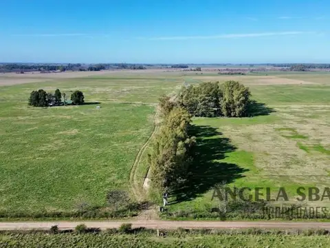 Campo en Venta en Plomer, Partido de General Las Heras