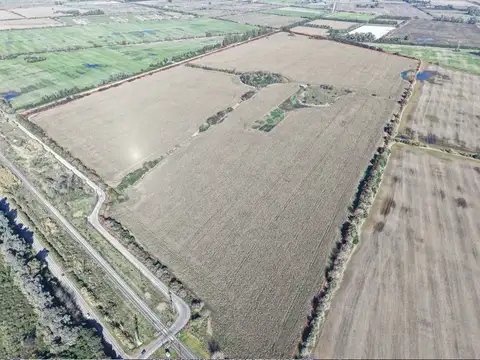 Campo en Venta en Zarate, Partido de Zárate