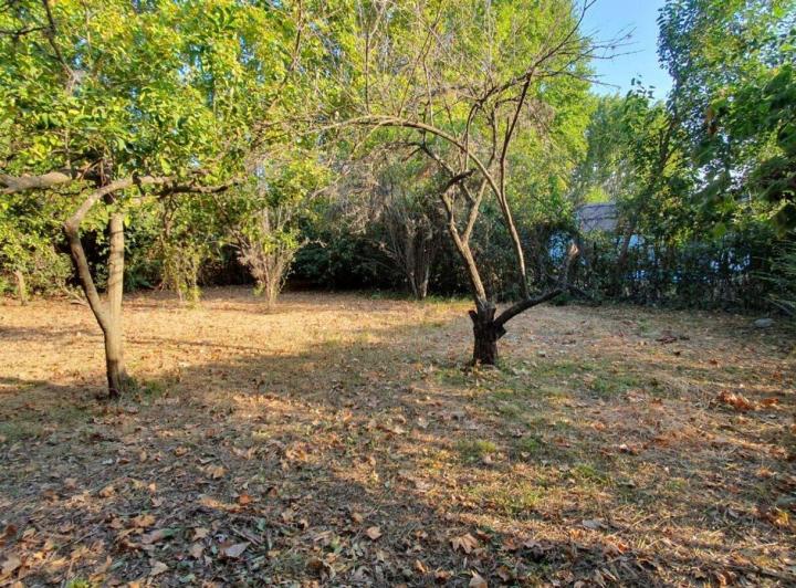 Terreno · 204m²