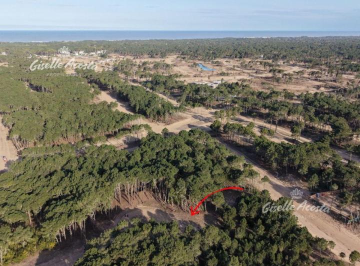 Terreno · 1073m²