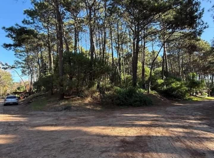 Terreno · 258m²