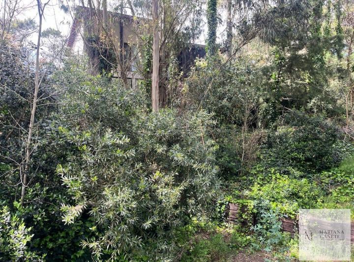 Terreno · 1065m²