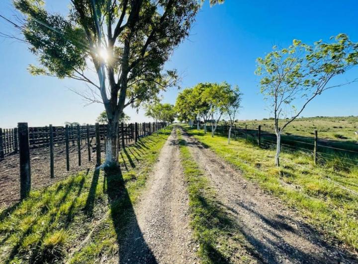 Campo · 45m²
