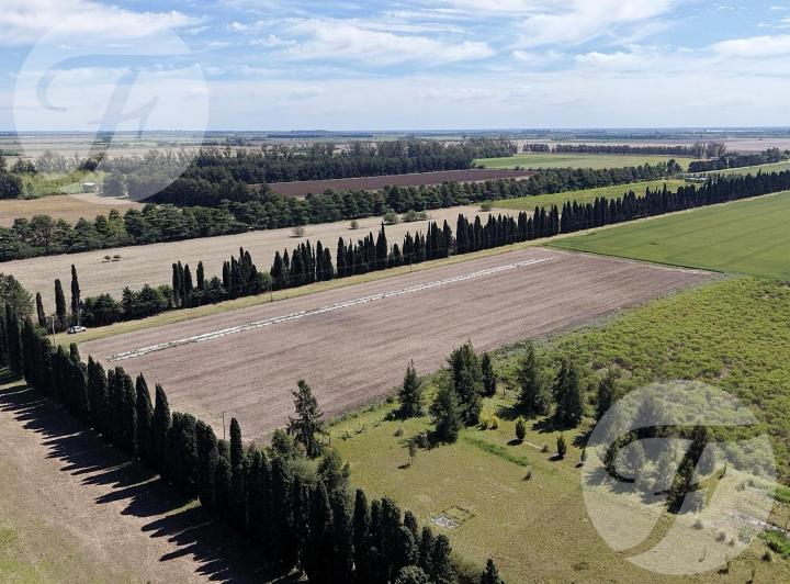 Campo · 24976m²