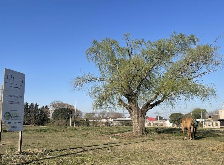 Terreno · 900m²