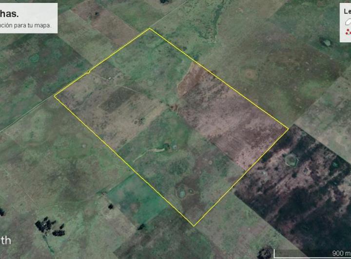 Campo · 172ha