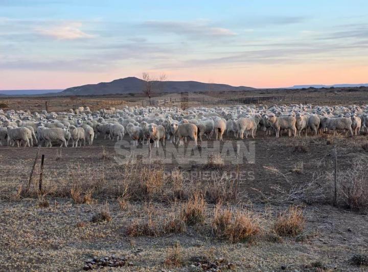 Campo · 10361ha