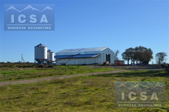 Campo · 1400ha