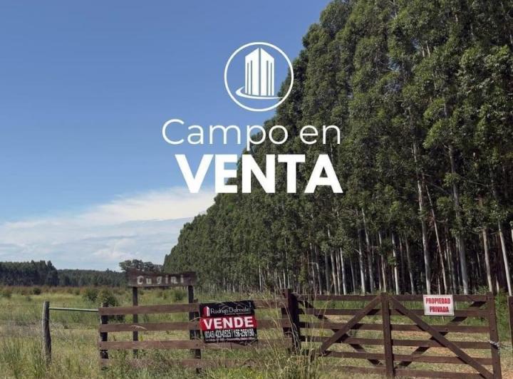 Terreno · 200000m² · 1 Ambiente