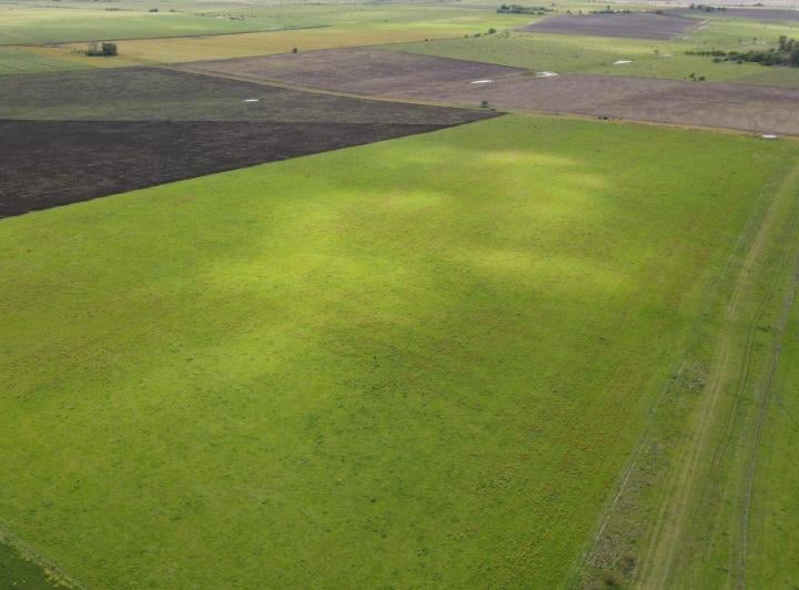 Campo · 65m²