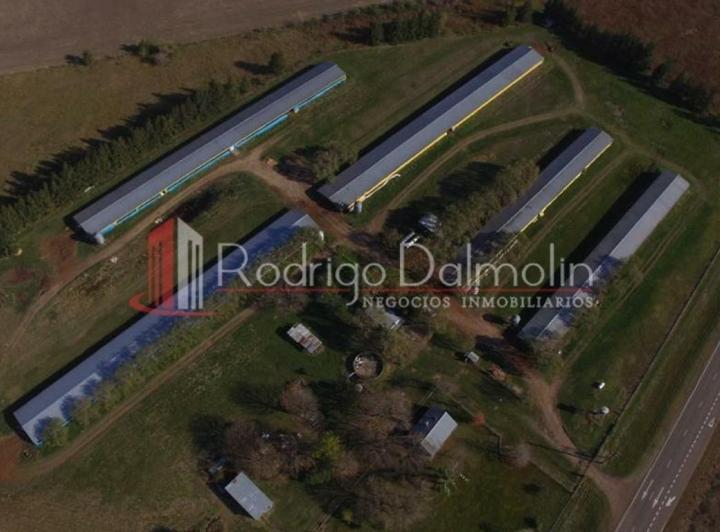 Terreno · 1000m² · 1 Ambiente