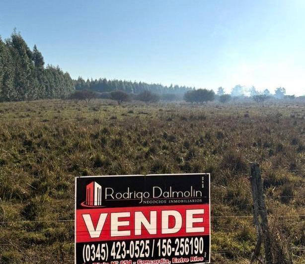 Terreno · 240000m² · 1 Ambiente