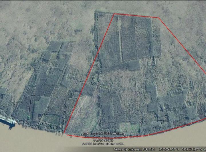 Campo · 125ha