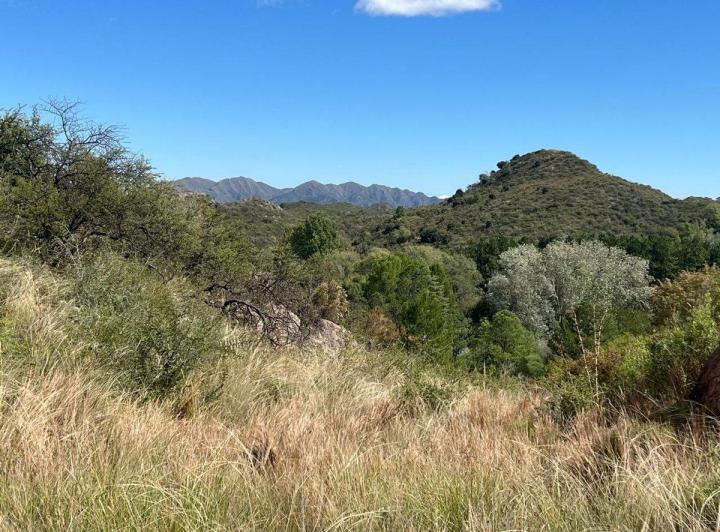 Terreno · 1200m²
