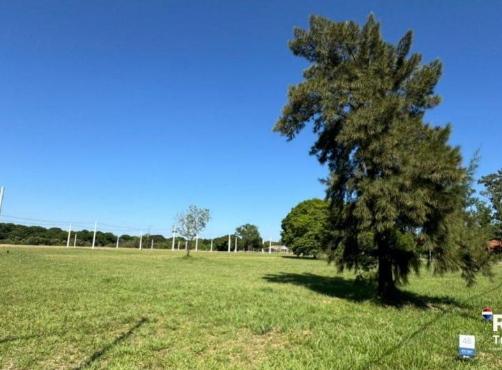 Terreno · 389m²