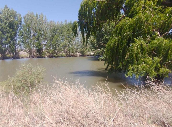 Campo · 91ha