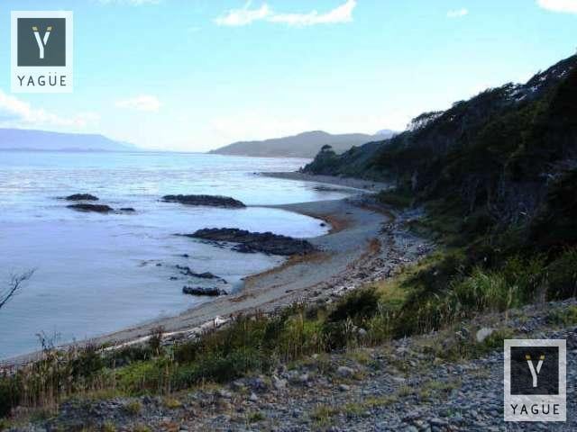 Campo · 1950ha