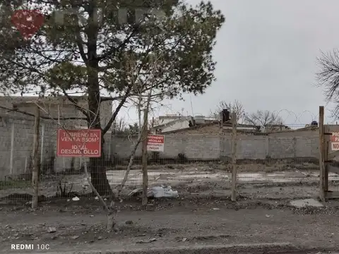 Terreno en venta