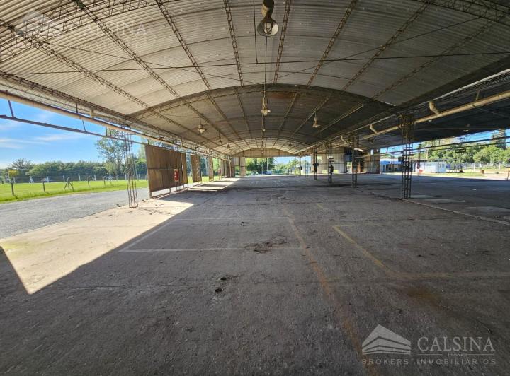 Bodega-Galpón · 5000m²