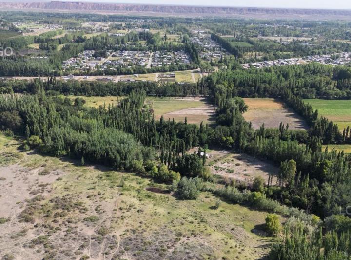 Campo · 78500m² · 1 Ambiente