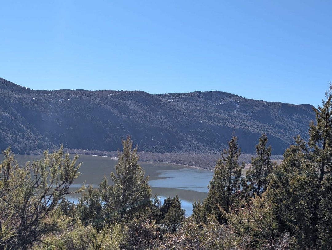 Terreno 1 ha en bosque nativo, vista Lago Mosquito