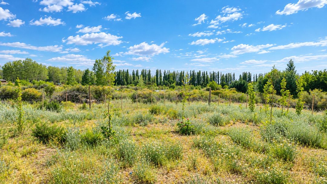 TERRENO EN VENTA VILLA ARROYITO NEUQUEN
