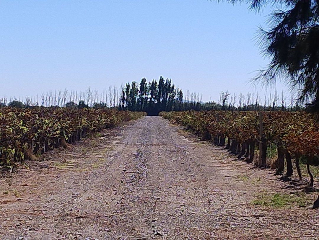 Finca de 447 has con pozo y sistema de riego