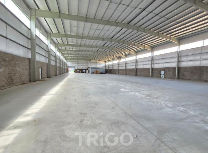 Bodega-Galpón · 2100m² · 3 Ambientes