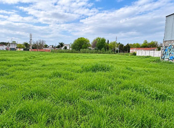 Terreno · 980m²