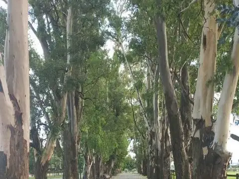 Terreno en Venta en Campana, Partido de Campana
