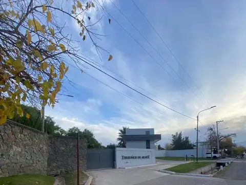Lote terruños de araoz