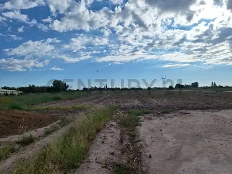 Venta terreno 2 hectareas en guaymallen - ideal loteo o finca