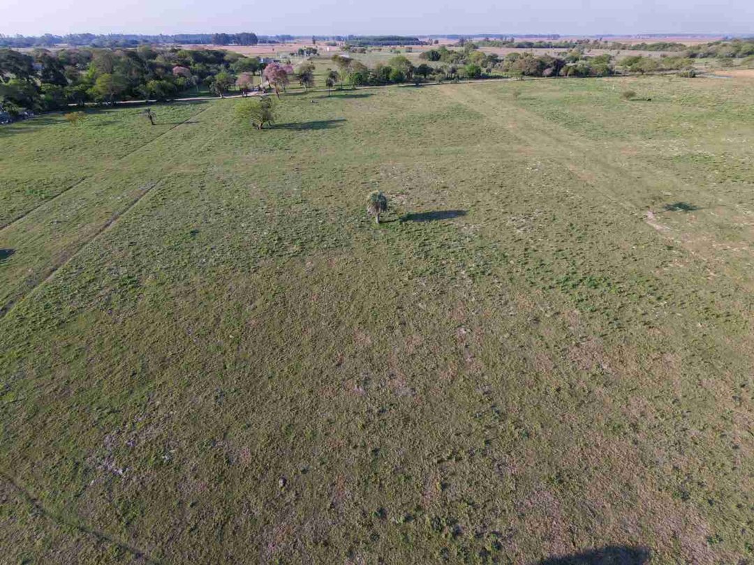 Lotes en venta Colonia Porvenir