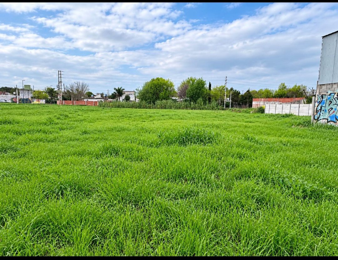 Alquiler Lotes comerciales en Berazategui