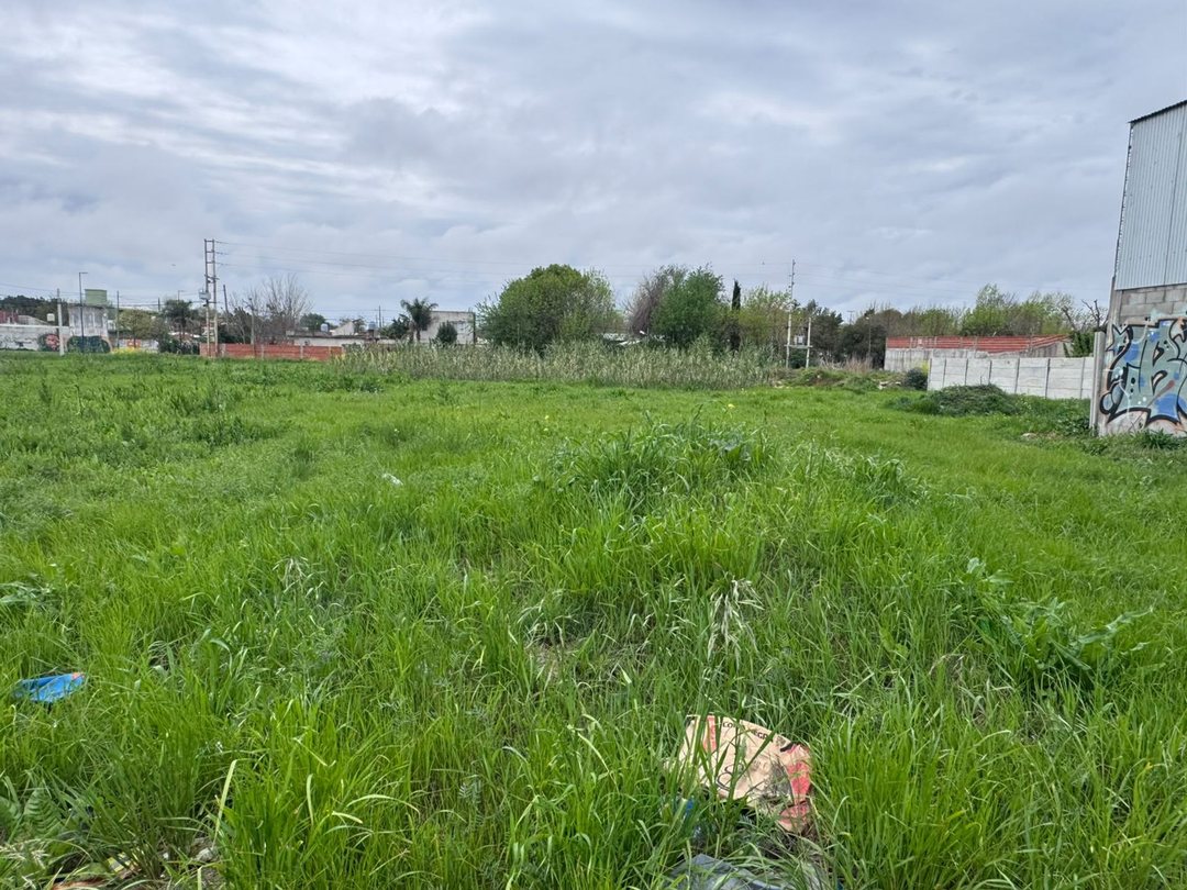 ALQUILER LOTES COMERCIAL BERAZATEGUI