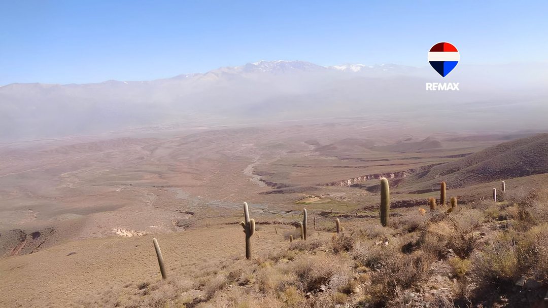 VENTA FINCA 4700HA RUTA PROVINCIAL 40 CACHI