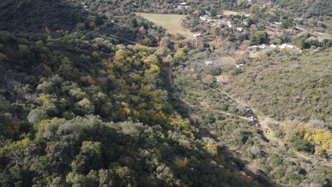 VENTA CAMPO 10 HECTAREAS  COLANCHANGA