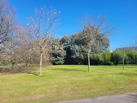 Terreno en Venta en Mar del Plata, Partido de General Pueyrredón