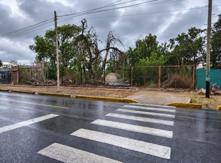 Terreno · 8863m²